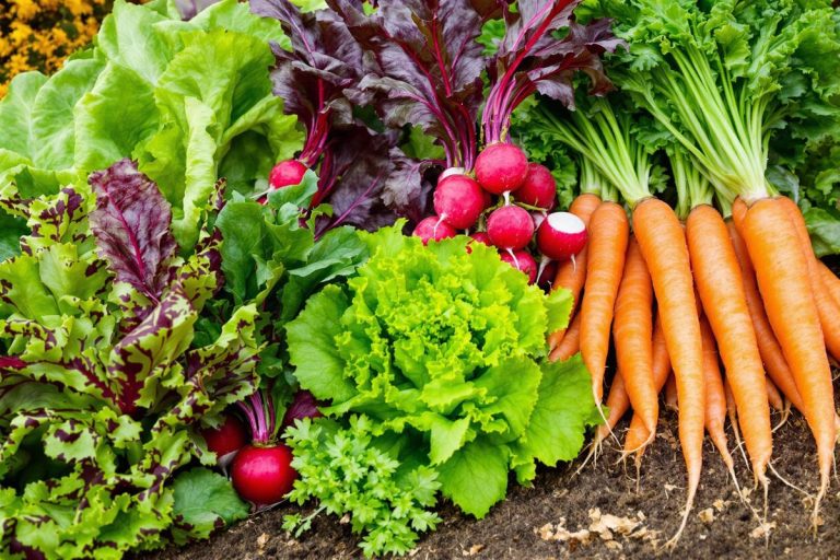 Je sème ces légumes maintenant pour des récoltes en septembre.jpg